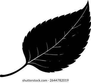 Silhouette Of A Beech Leaf With Curved Tip - Premium Design Element