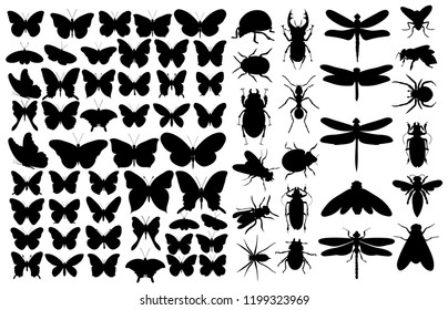 silhouette of a beetle, butterfly, dragonfly