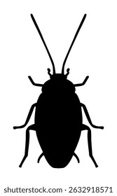 Silhouette of a beetle, or cockroach. Vector illustrations EPS10