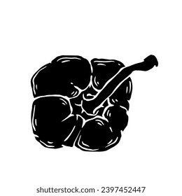 Silhouette de pimiento picante vegetal.Gráficos vectoriales.