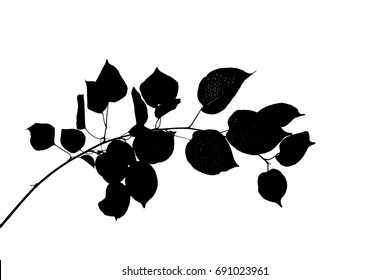 Silhouette of bent twig isolated on white, vector illustration