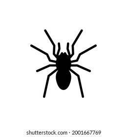 silhouette of a big black spider from above on a white background