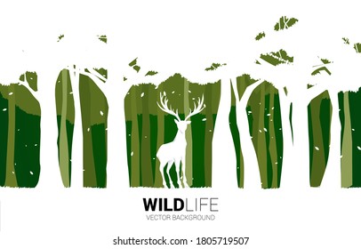 Silhouette of Big deer in forest. background for natural take care and save the environment.