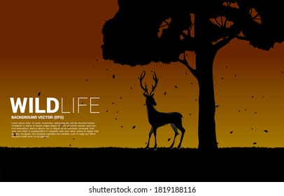 Silhouette of Big deer with big tree. background for natural take care and save the environment.