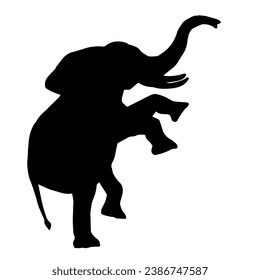 Silhouette of a big elephant animal. Silhouette of a wild elephant animal.