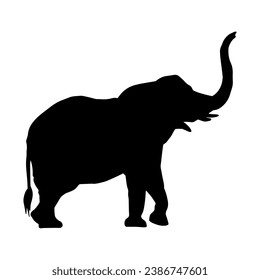 Silhouette of a big elephant animal. Silhouette of a wild elephant animal.