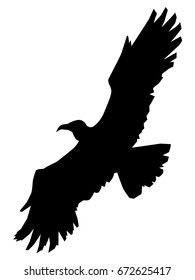 silhouette of big, flying eagle