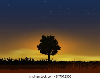 Silhouette of a big lonely tree against sunset.