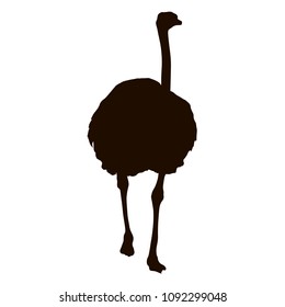 Silhouette big ostrich standing on a white background
