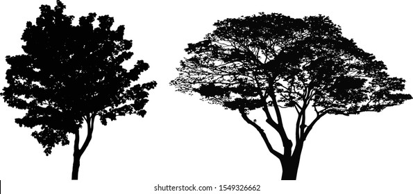 Silhouette of big tree on white, vector art design