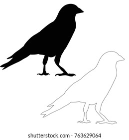  silhouette of a bird, crow, sketch