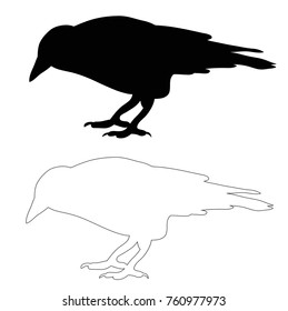 silhouette bird crow, sketch isolated