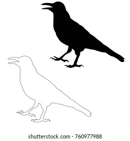 silhouette bird crow, sketch isolated, vector