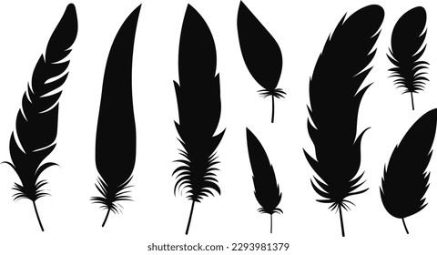 silhouette bird feathers set, collection isolated vector