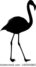 Silhouette bird flamingo on a white background