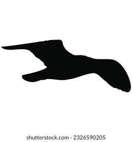 A silhouette of a bird in flight