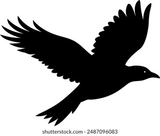 silhouette of a bird in flight