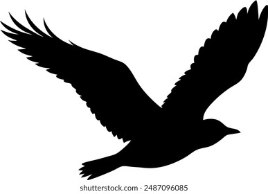 silhouette of a bird in flight