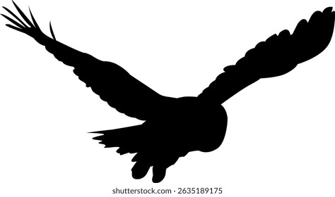 Silhouette of Bird in Flight