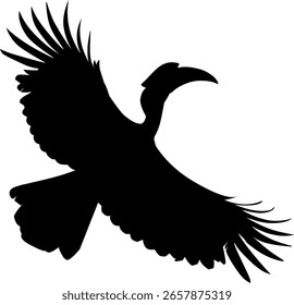 silhouette of a bird in flight