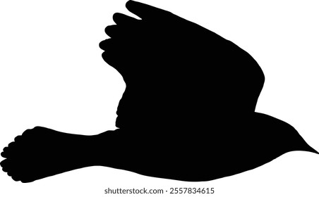 Silhouette of a bird in flight against a clear sky, showcasing the grace and freedom of avian movement.