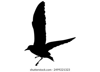 Silhouette of a Bird in Flight for Design Decoration