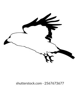 Silhouette of a Bird in Flight with Outstretched Wings