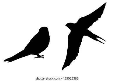 silhouette of the bird in flight, vector illustration