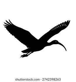 Silhouette of a Bird in Flight with Wings Spread flying