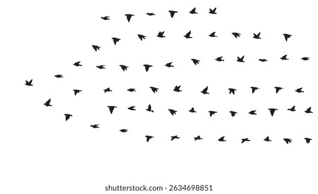 Silhouette of a bird flying on the sky, isolated background, vector illustration.