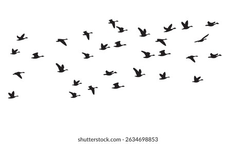 Silhouette of a bird flying on the sky, isolated background, vector illustration.
