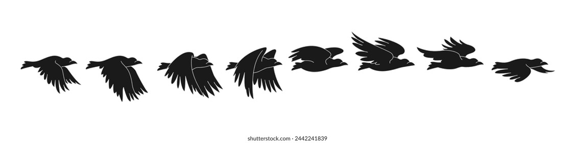 silhouette bird flying process in different poses. black isolated white background