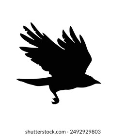 Silhouette of a bird flying vector. Raven wings spread and flying Silhouette.