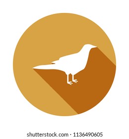 silhouette of a bird icon in Flat, Long shadow on white background