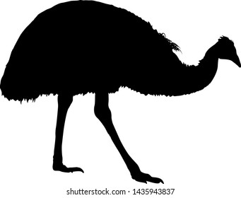 Silhouette of bird kazouri on a white background