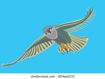 Silhouette of a bird on a background of blue sky
