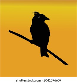 Silhouette of a bird on an orange background.