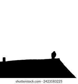 Silhouette of a bird on a roof