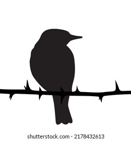 Silhouette Of A Bird On A Thorny Branch