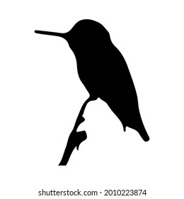 silhouette bird on white background. vector illustration