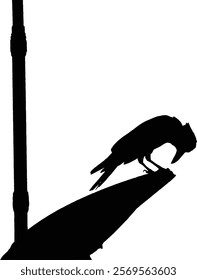 Silhouette of a bird perched near a pole.