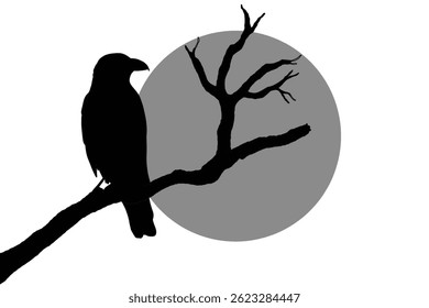 Silhouette of a bird perched on a branch against a full moon, evoking a sense of calm, solitude, and mystery