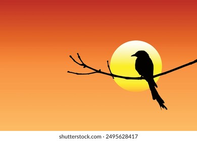 Silhouette of a bird perched on a dry branch, framed by the setting sun vector.