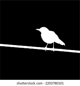 Silhouette of the Bird Perched on the Electrical Wire Base on my Photography. Vector Illustration