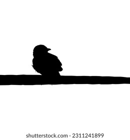 Silhouette of the Bird Perched on the Electrical Wire Base on my Photography. Vector Illustration