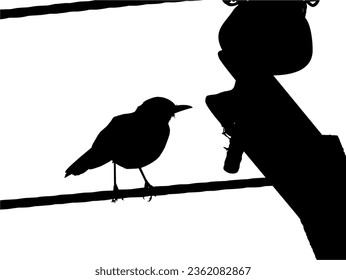 Silhouette of the Bird Perched on the Electrical Wire Base on my Photography. Vector Illustration