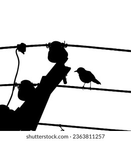 Silhouette of the Bird Perched on the Electrical Wire Base on my Photography. Vector Illustration