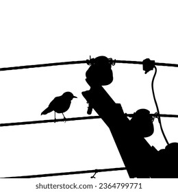 Silhouette of the Bird Perched on the Electrical Wire Base on my Photography. Vector Illustration