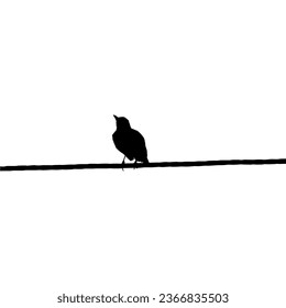 Silhouette of the Bird Perched on the Electrical Wire Base on my Photography. Vector Illustration