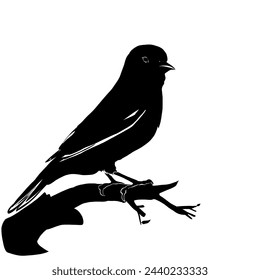 silhouette of a bird perched on a tree branch on a white background